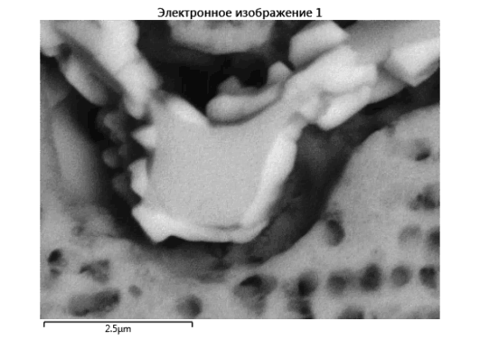 Изображение микроструктуры в электронном микроскопе