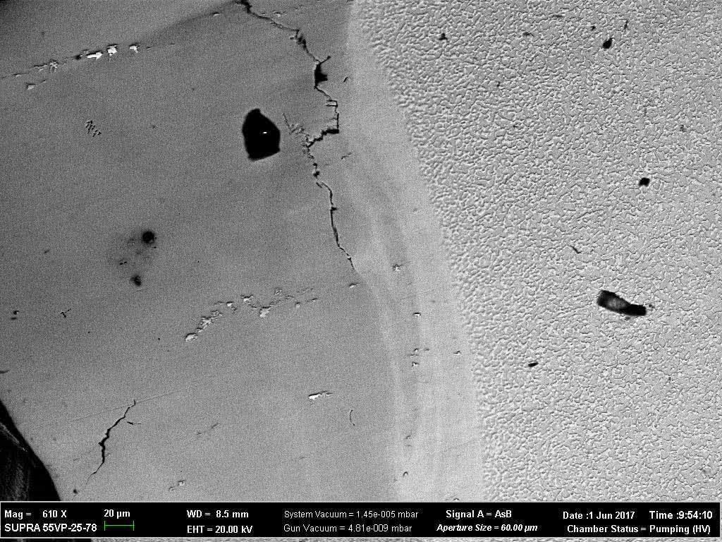 Изображение поперечного сечения выходной кромки лопатки, полученное в сканирующем электронном микроскопе при увеличении 610
