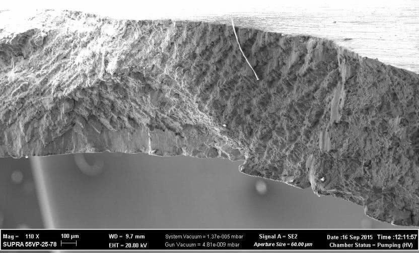 Изображение поверхности разрушения в электронном микроскопе, х110